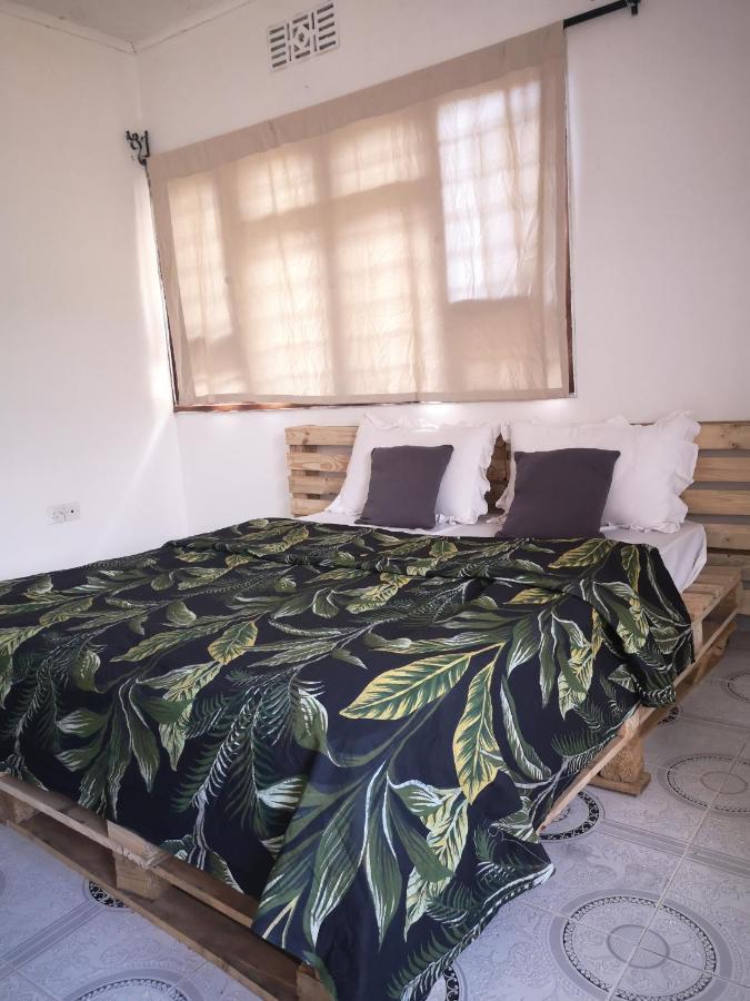 Safari Adventures-House Bed & Breakfast Arusha Eksteriør bilde