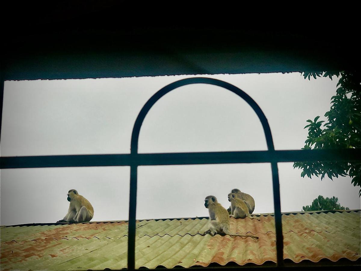 Safari Adventures-House Bed & Breakfast Arusha Eksteriør bilde